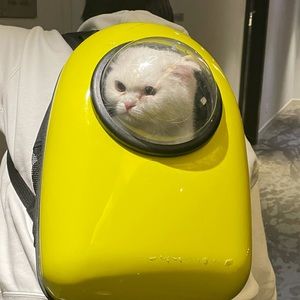 Meet your Posher, Jingyi